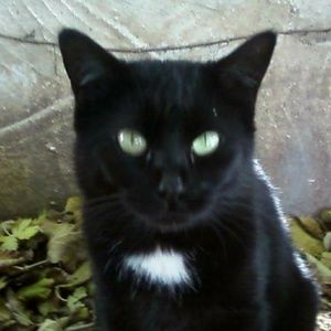 Meet your Posher, Tami